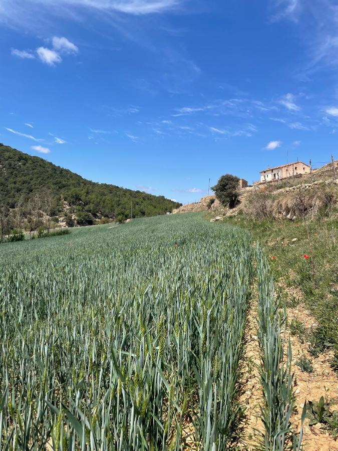 Masia La Perera Morella Exterior photo